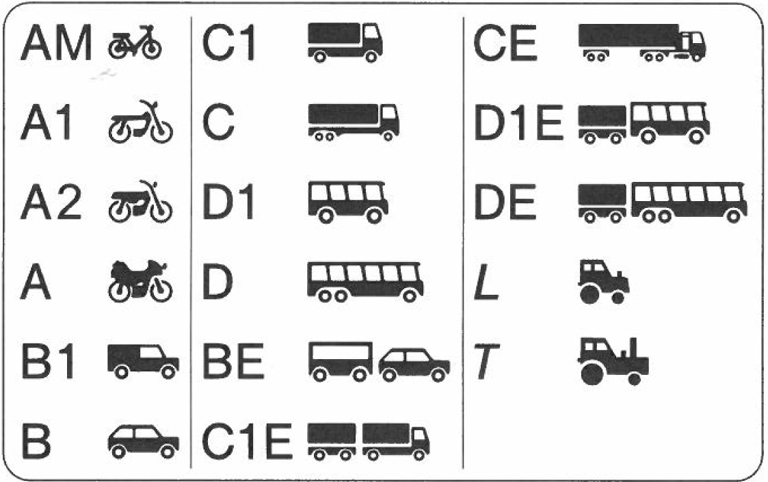 canjear permiso de conducir